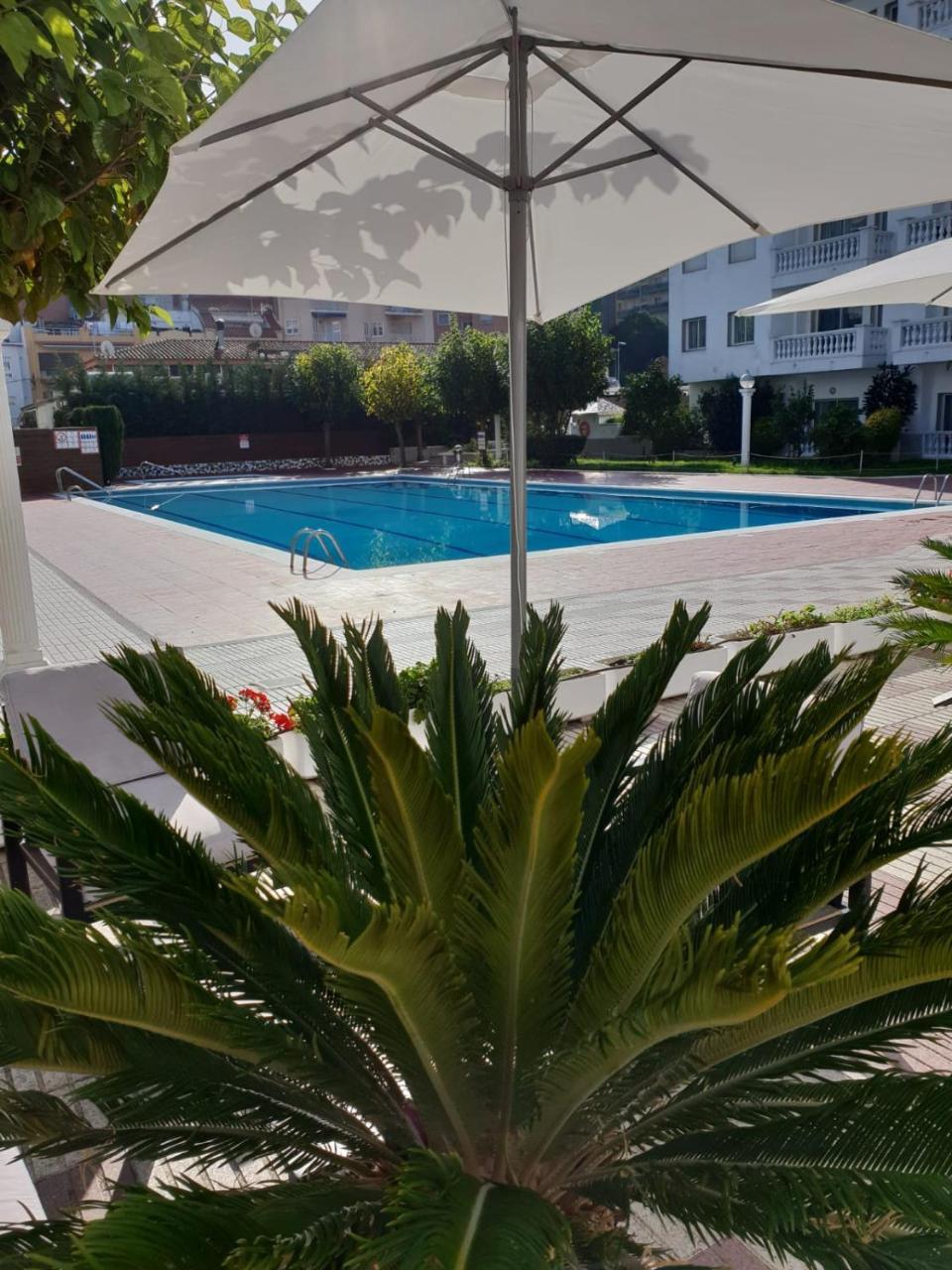 Europa Family Appartement